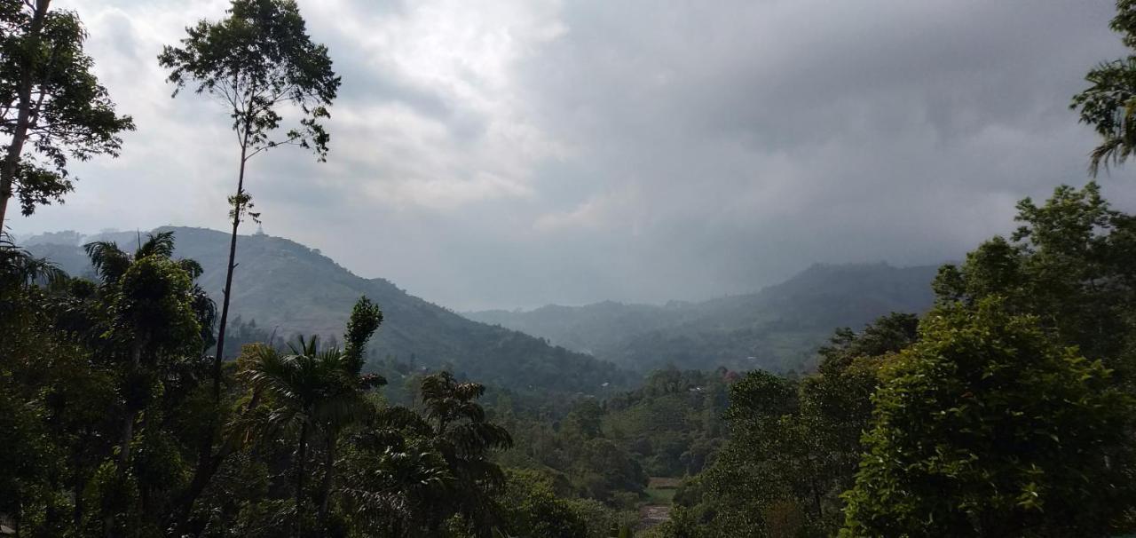 Hidden Slope Cottage เอลลา ภายนอก รูปภาพ