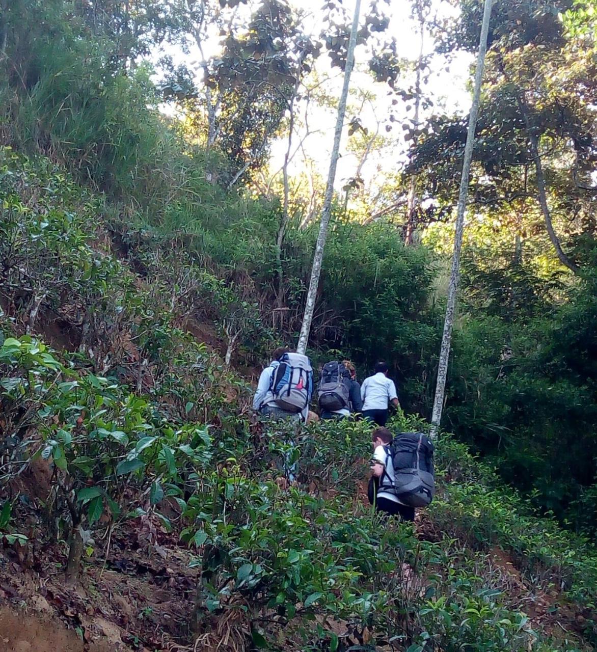Hidden Slope Cottage เอลลา ภายนอก รูปภาพ