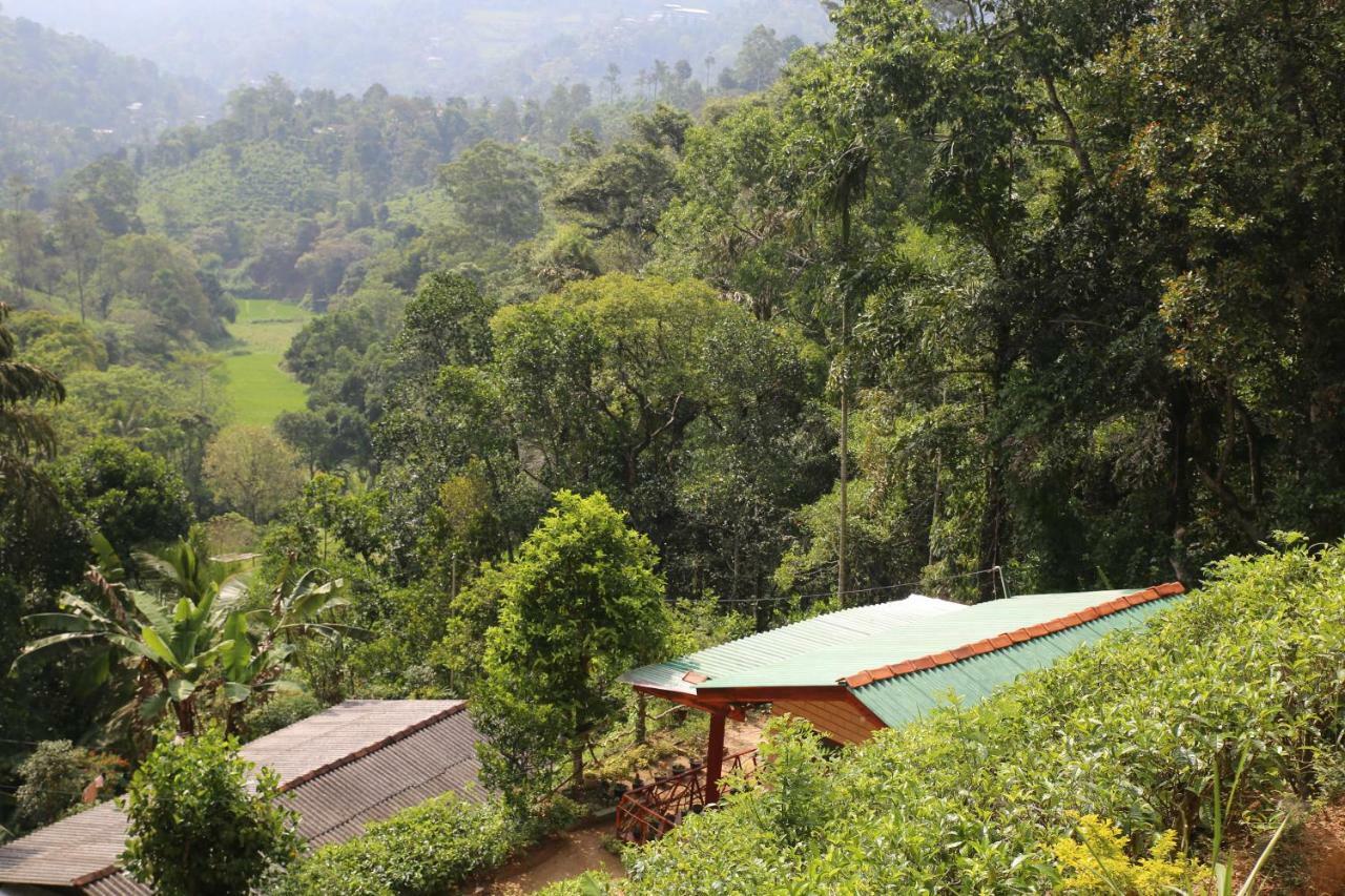 Hidden Slope Cottage เอลลา ภายนอก รูปภาพ